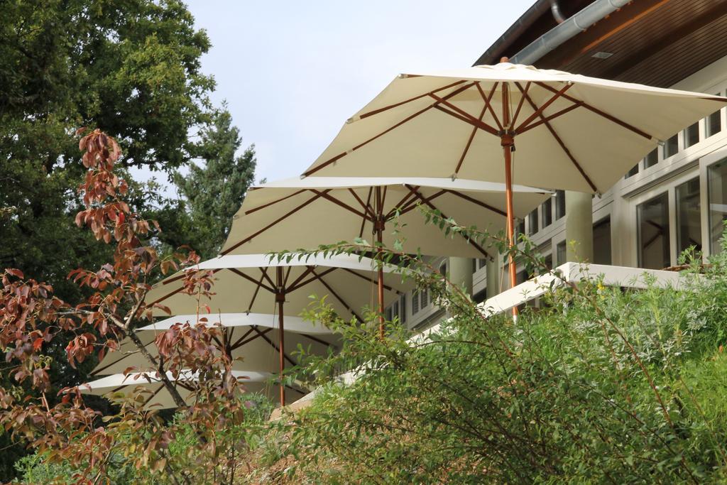 Hotel Rural Misarela Герес Екстериор снимка